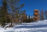 Unternehmen Sie eine Wanderung zum Aussichtsturm Czerniawska Kopa und genießen Sie die Landschaft.