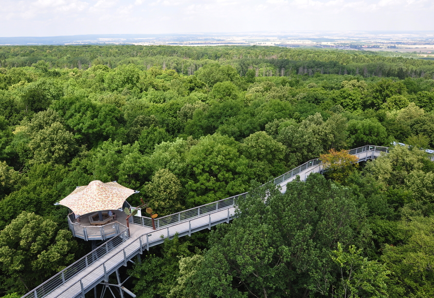 Wandeln Sie auf dem Baumkronenpfad im Nationalpark Hainich umgeben von einem Meer aus Grün.