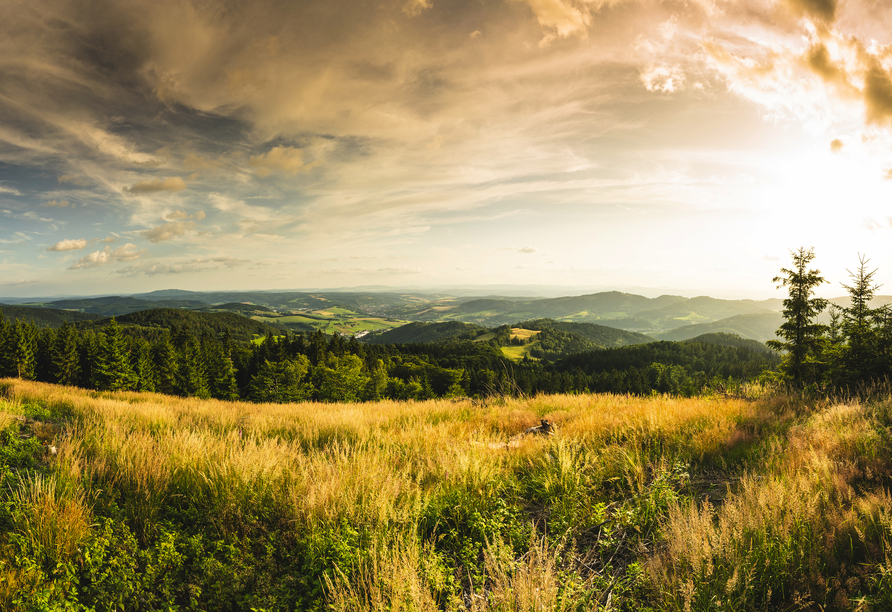 Lassen Sie sich von den unglaublich schönen Landschaften des Thüringer Walds verzaubern.