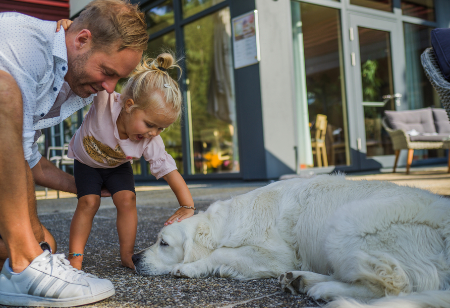 Auch die vierbeinigen Familienmitglieder sind im JUFA Hotel Grünau im Almtal herzlich willkommen. 