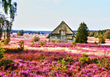 Ausflugsziel Lüneburger Heide