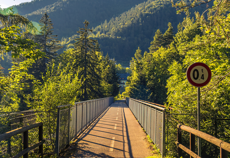 Auf Ihrer Route befahren Sie auch die ein oder andere Brücke, die in die malerische Landschaft des Alpe-Adria-Radwegs eingebettet sind.