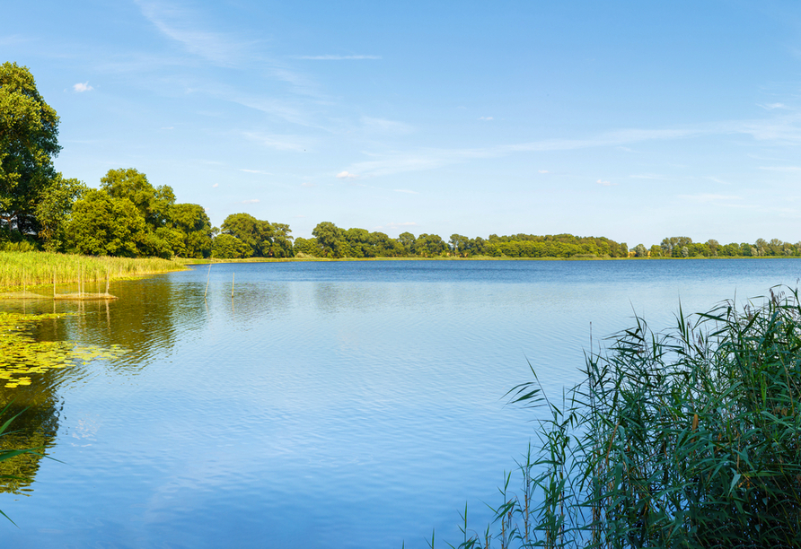 Natur pur erwartet Sie an der idyllischen Mecklenburgische Seenplatte – perfekt für Ihre Auszeit.