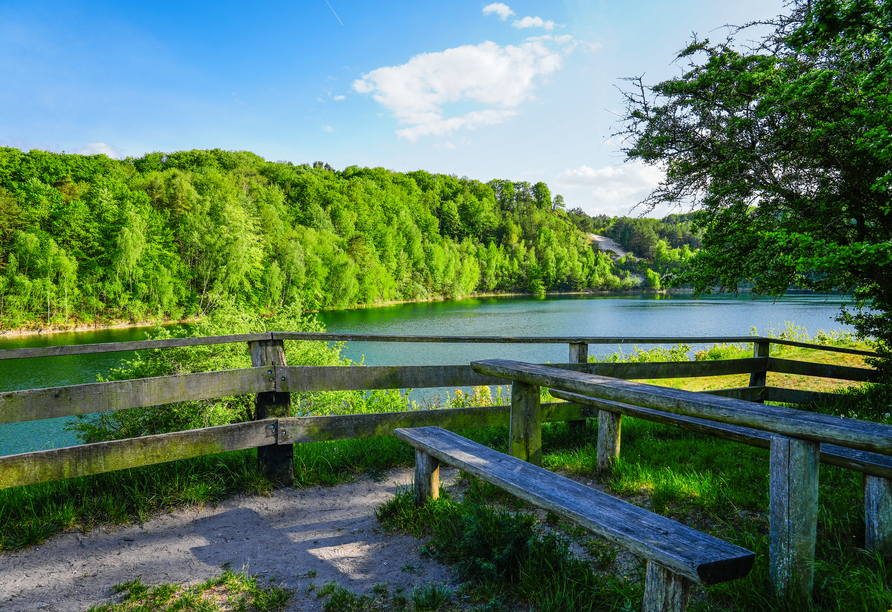 Wandern Sie durch den Wolin-Nationalpark – ein Paradies für Naturfreunde.