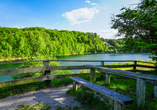 Der Turkusowe-See im Nationalpark Wolin begeistert mit seinem türkisblauen Wasser und tollen Wanderwegen rundherum.