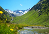 Entdecken Sie die Bergwelt des schönen Ahrntals.