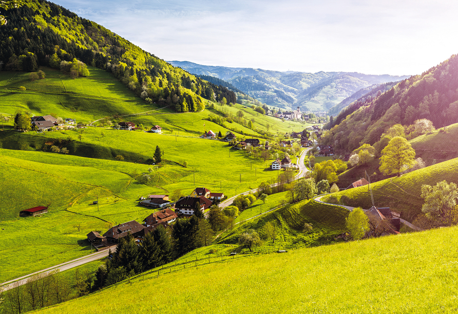 Der Schwarzwald bietet eine wundervolle Natur und lädt zum Erkunden ein.