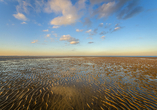 Fahren Sie an die Nordsee und machen Sie eine unvergessliche Wattwanderung.