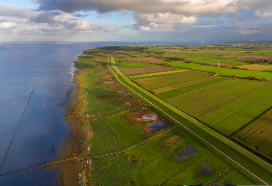 Herzlich willkommen in der traumhaften Umgebung des Wangerlands.