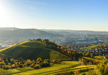 Stuttgart birgt ebenfalls Naturschönheiten, die Sie gesehen haben müssen.