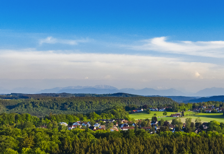 Ihr Weg von München zum Starnberger See führt durch den wunderschönen Forstenrieder Park.