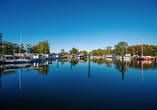 Idyllischer Blick auf den Hafen am Jasmunder Bodden – ein perfekter Ort zum Verweilen und Genießen.