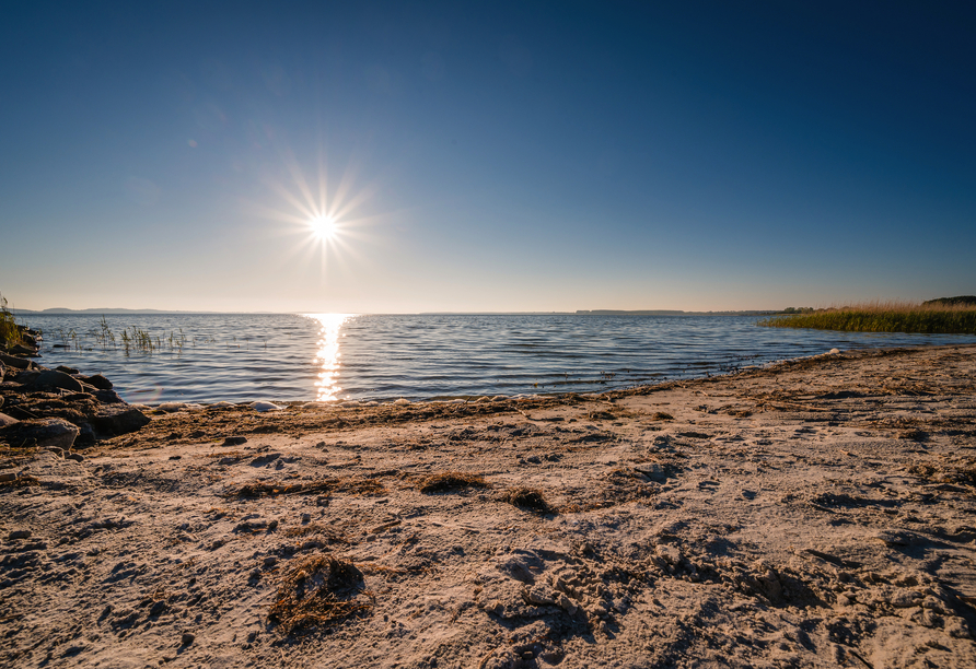 Spazieren Sie entlang des wunderschönen Ostseestrandes.