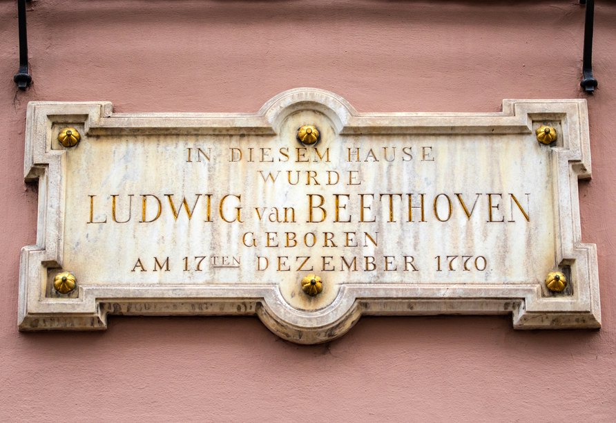 Besuchen Sie das Geburtshaus von Ludwig van Beethoven in Bonn.