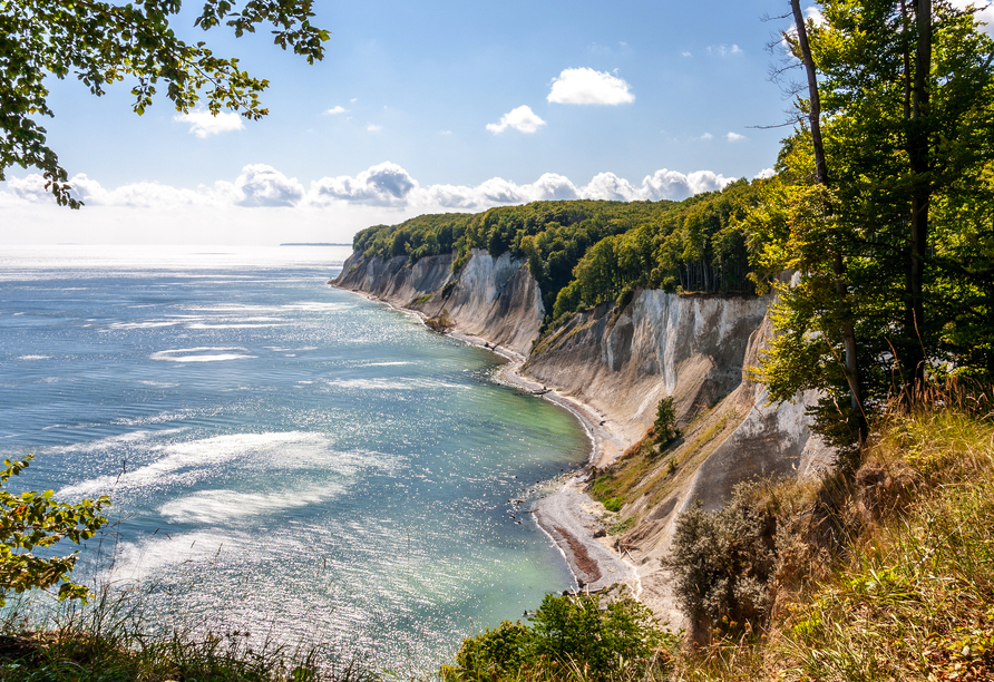 Kreidefelsen auf der Insel Rügen