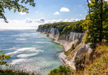 Kreidefelsen auf der Insel Rügen