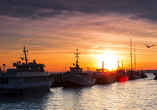 Am Hafen von Sassnitz tummeln sich zahlreiche Fischerboote.