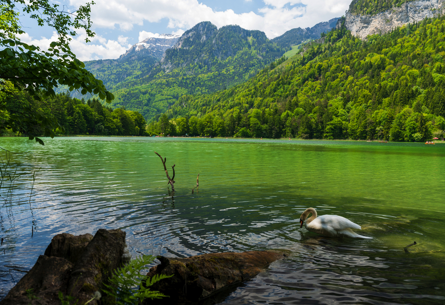 Der Reintalersee ist nur einen Katzensprung entfernt.