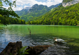 Der Reintalersee ist nur einen Katzensprung entfernt.