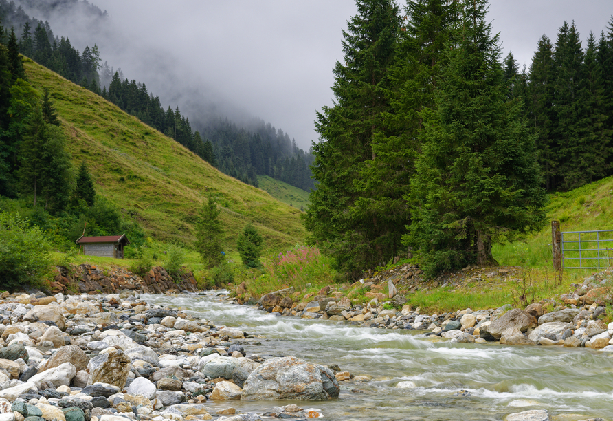 Entdecken Sie die prächtige Naturlandschaft in Kirchberg.