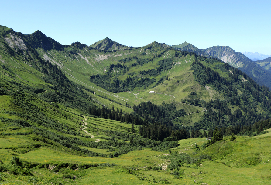 Die unberührte Natur des Laternsertals lädt zum Erkunden und Entspannen ein.v