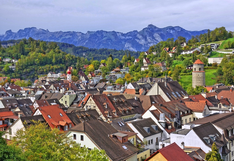 Blick über Feldkirch