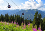 Erklimmen Sie die Gipfel der Region Saalbach-Hinterglemm ganz gemütlich mit einer der Seilbahnen.