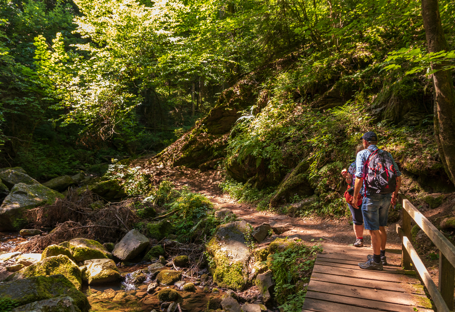 Wandern Sie durch die Wutachschlucht und bestaunen Sie ein beeindruckendes Naturwunder.