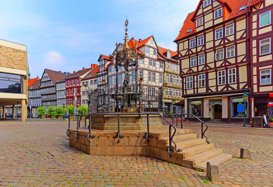 Besichtigen Sie den Holzmarkt, der von Fachwerkhäusern umgeben ist.