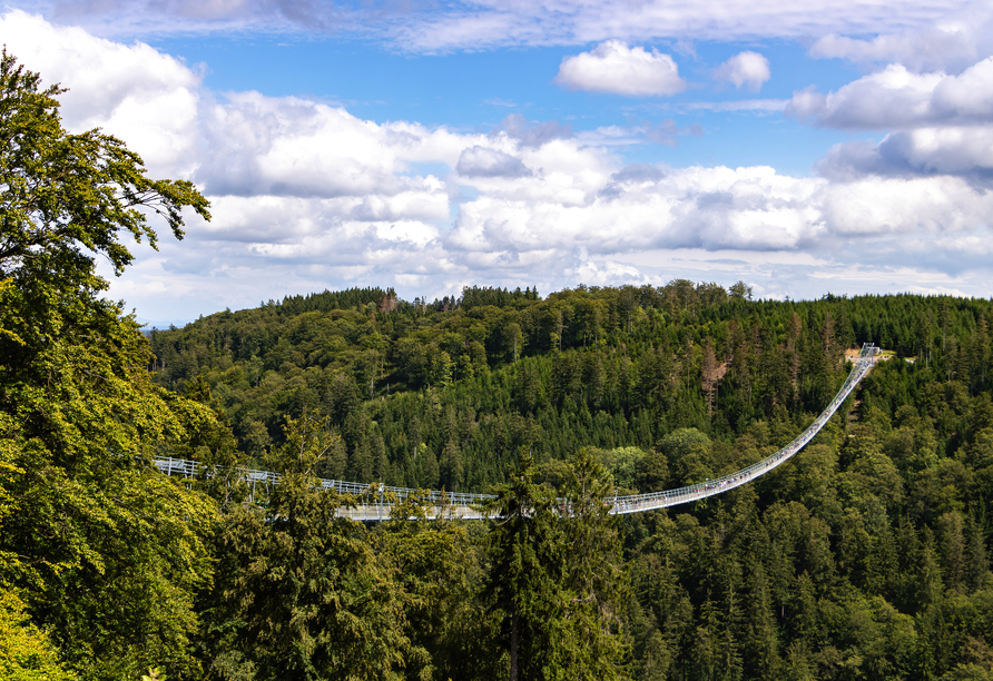 Spektakulärer Skywalk in Willingen