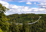 Spektakulärer Skywalk in Willingen